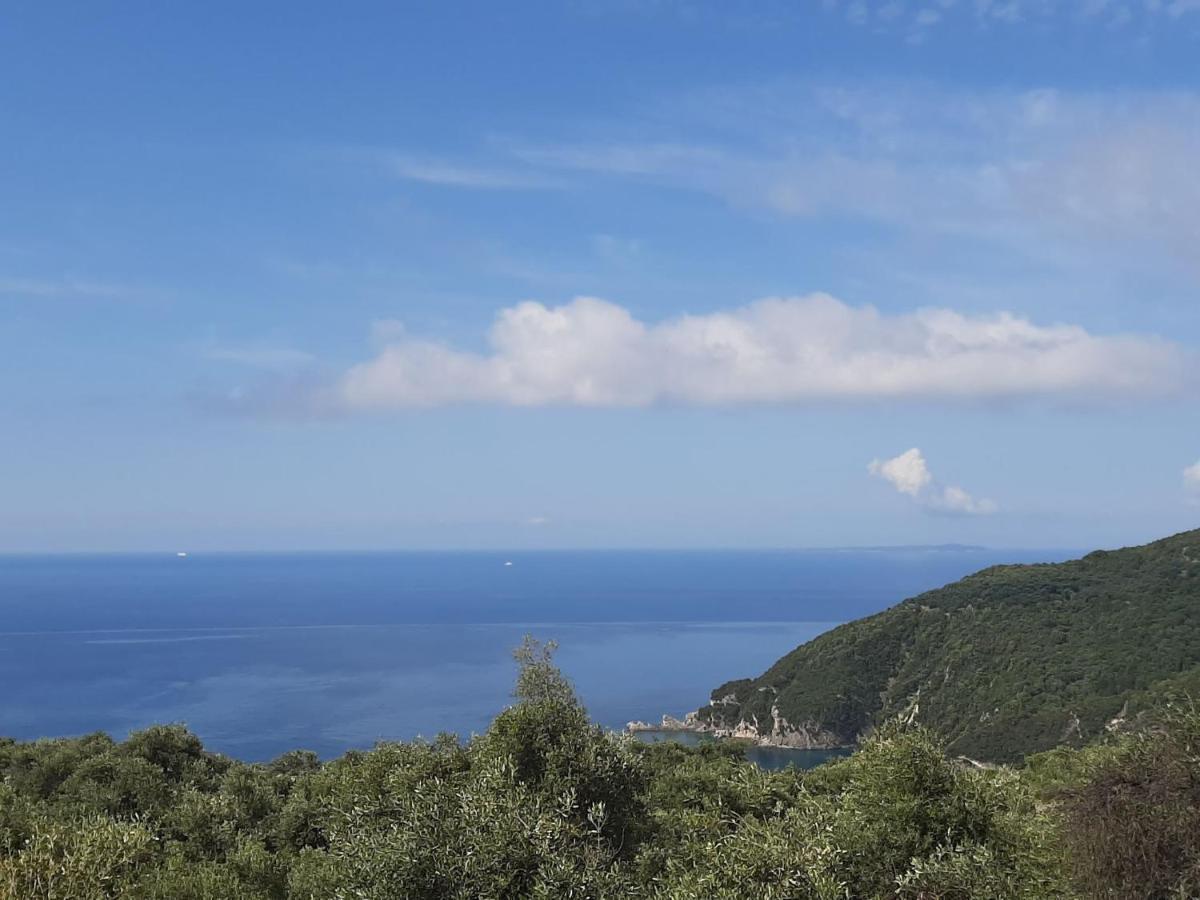 Zoe'S Studios Parga Eksteriør bilde
